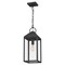 Quoizel Thorpe 1-Light Mottled Black Mini Pendant TPE1508MB - alternate 5